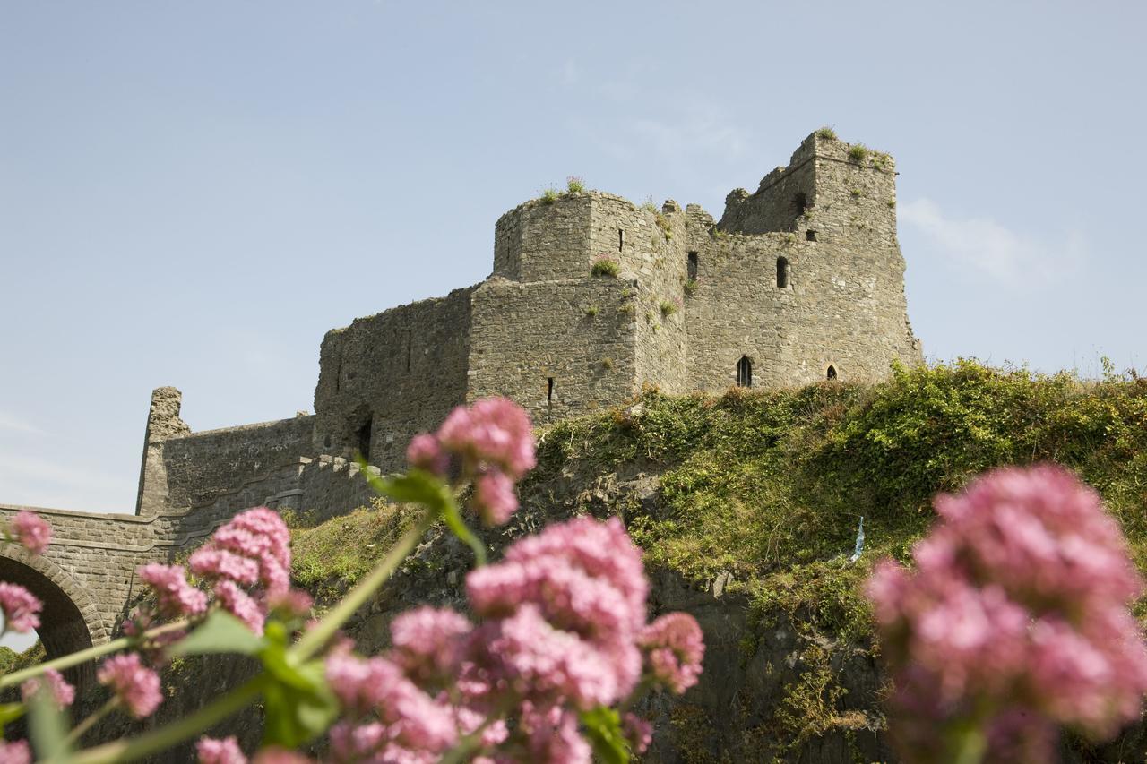 Four Seasons Hotel, Carlingford Bagian luar foto